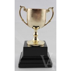 GOLD WINNERS CUP TROPHY FREE LASER ENGRAVING