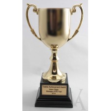 GOLD WINNERS CUP LARGE SIZE TROPHY FREE LASER ENGRAVING