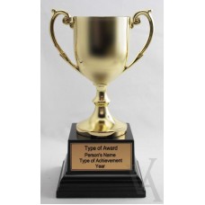 GOLD WINNERS CUP MEDIUM SIZE TROPHY FREE LASER ENGRAVING