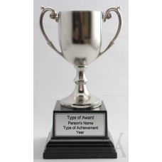 SILVER WINNERS CUP MEDIUM SIZE TROPHY FREE LASER ENGRAVING