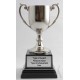 SILVER WINNERS CUP MEDIUM SIZE TROPHY FREE LASER ENGRAVING
